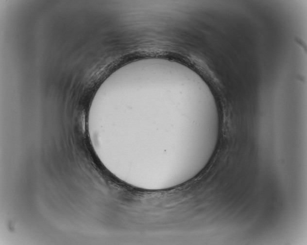 X0000102760021200809021017