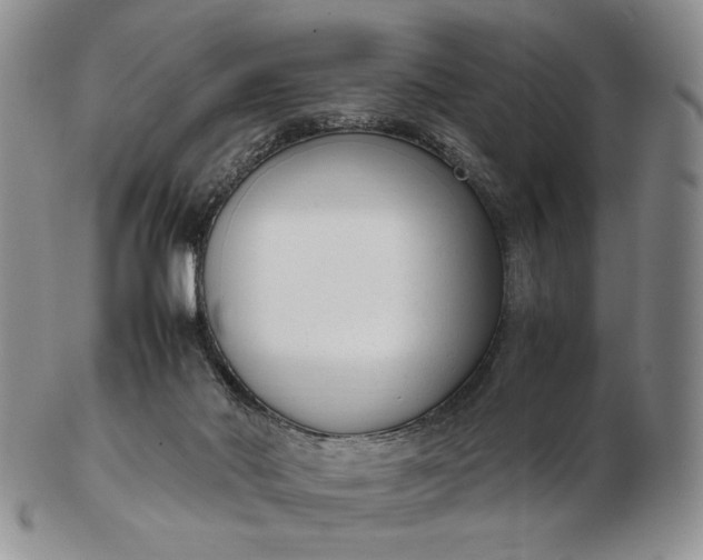 X0000102760022200809021017