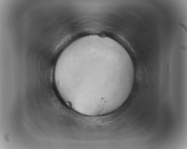 X0000102760023200809021017