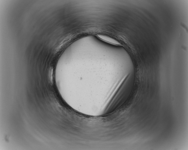 X0000102760024200809021017