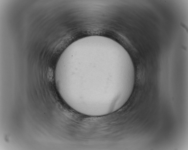 X0000102760025200809021017