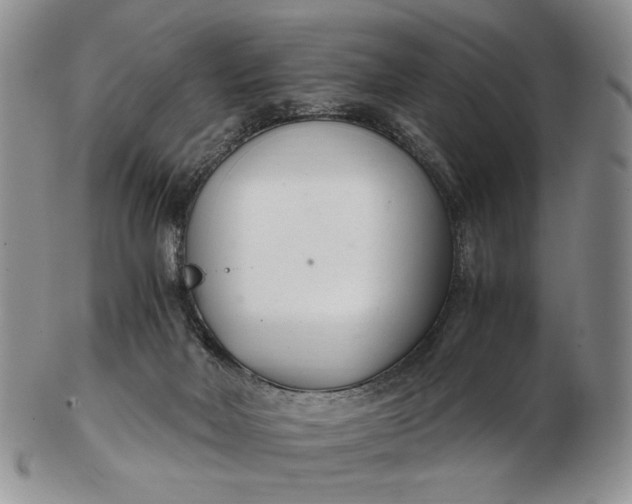 X0000102760026200809021017