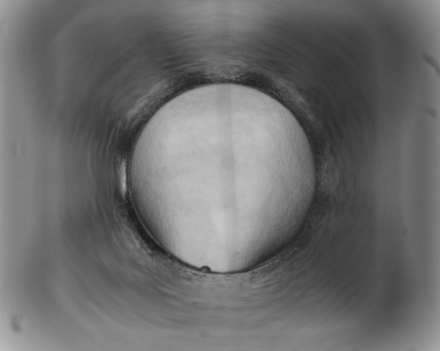 X0000102760027200809021017