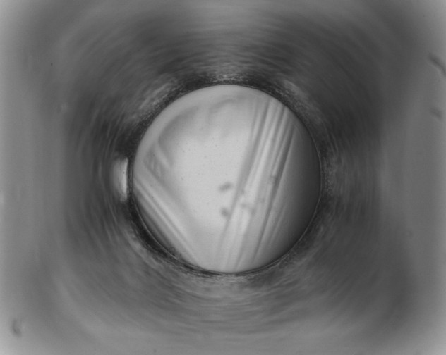 X0000102760028200809021017