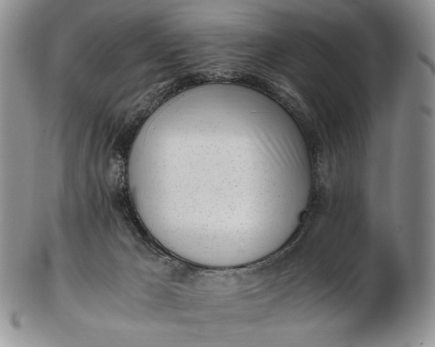 X0000102760029200809021017