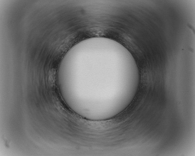 X0000102760030200809021017