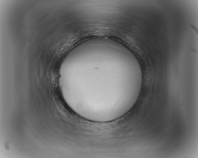 X0000102760031200809021017