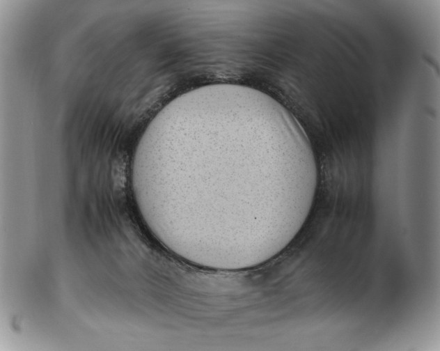 X0000102760032200809021017