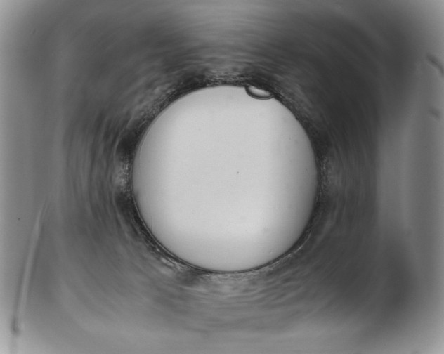 X0000102760033200809021017