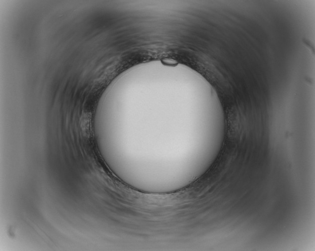 X0000102760034200809021017