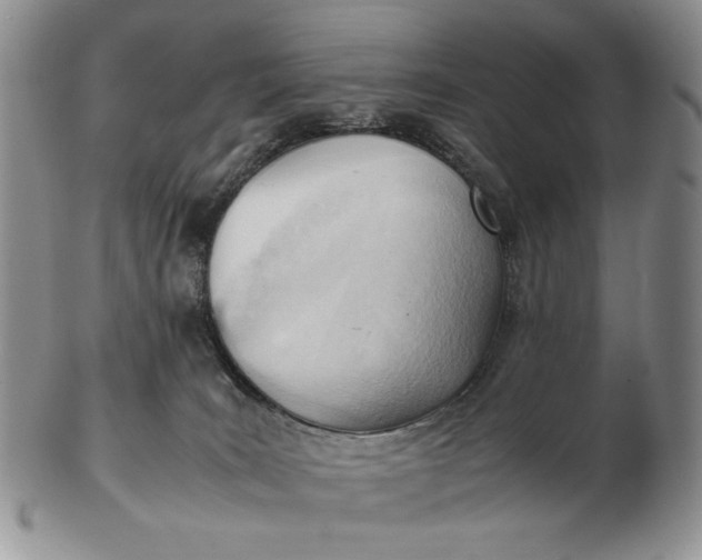 X0000102760035200809021017