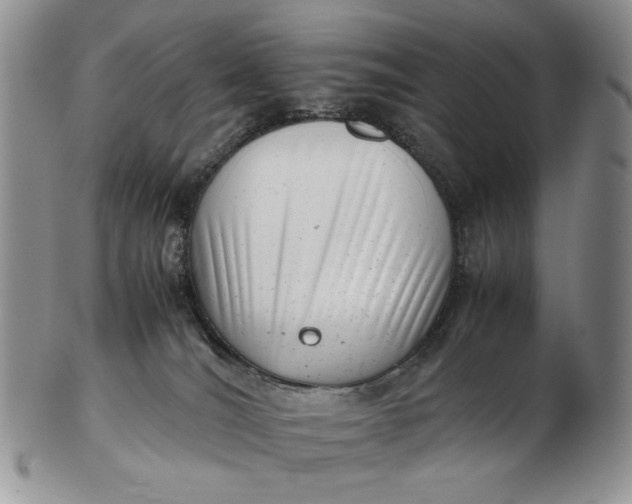 X0000102760036200809021017