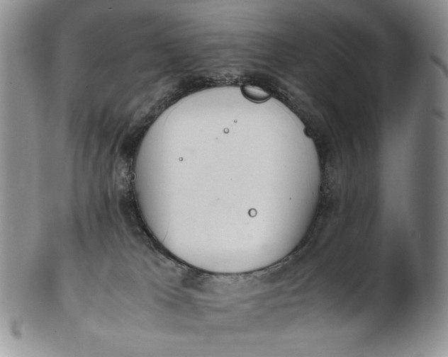 X0000102760037200809021017