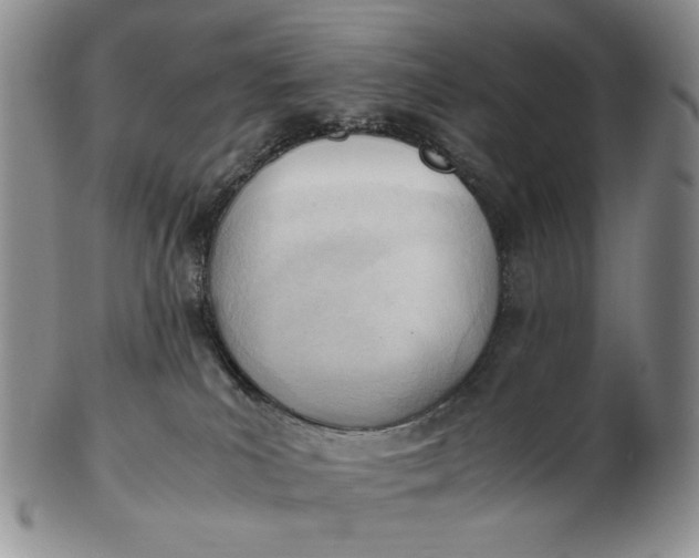 X0000102760039200809021017