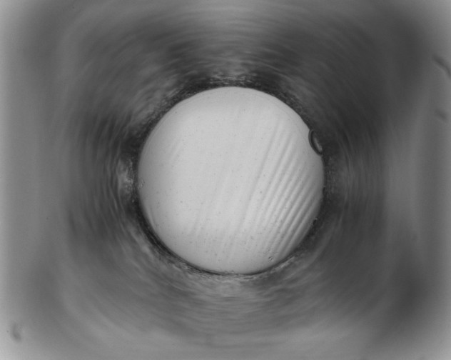 X0000102760040200809021017