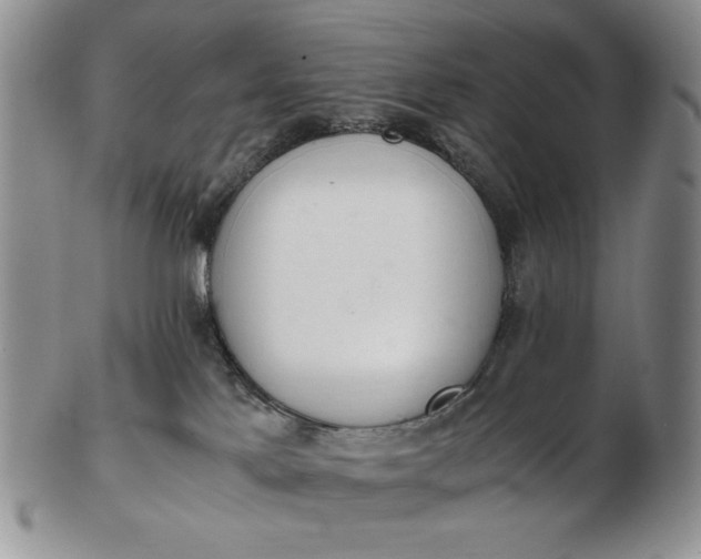 X0000102760041200809021017