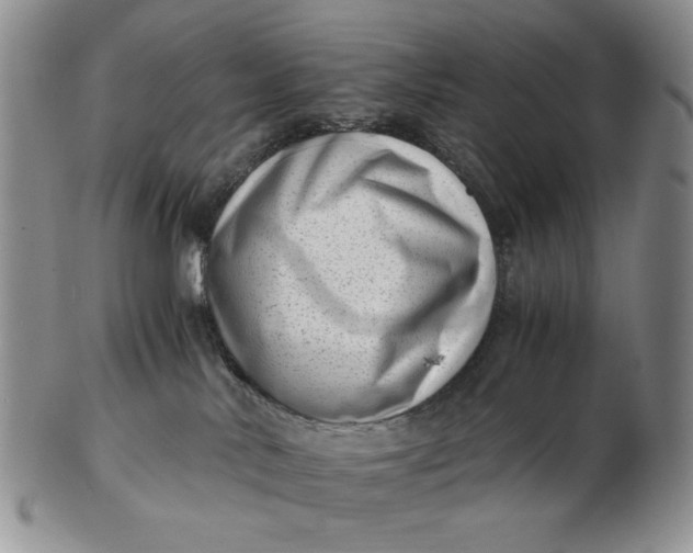 X0000102760042200809021017