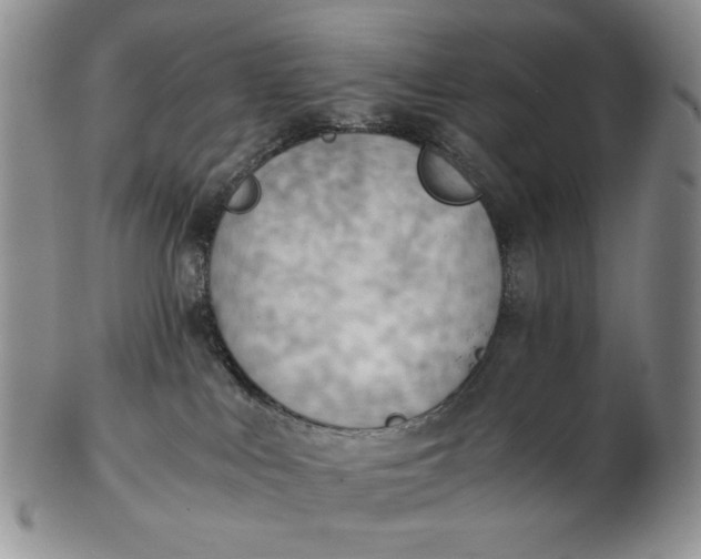 X0000102760043200809021017