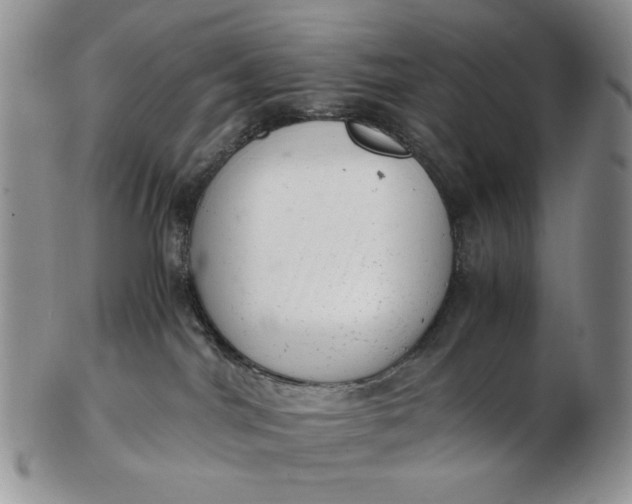 X0000102760044200809021017