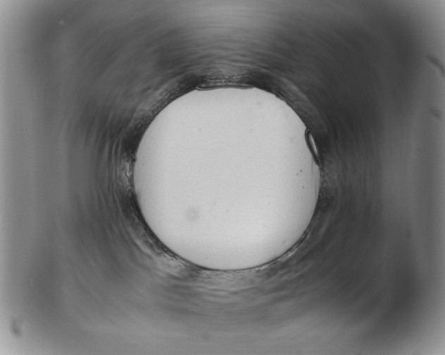 X0000102760045200809021017