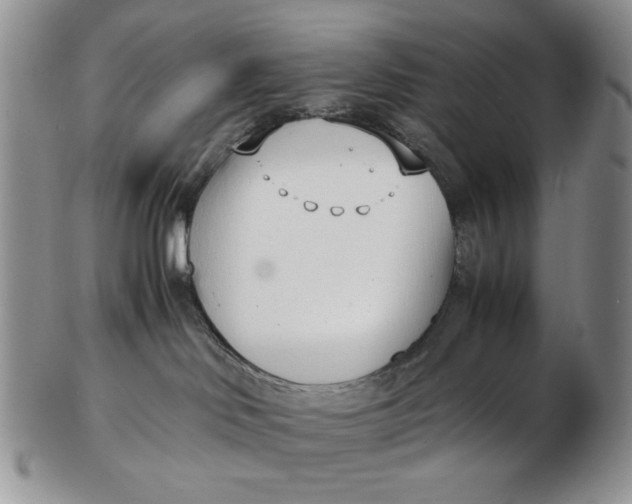 X0000102760046200809021017