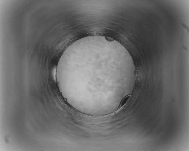 X0000102760047200809021017