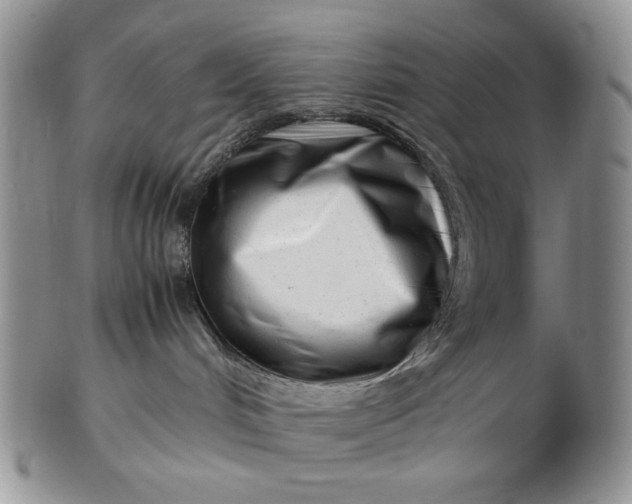 X0000102760048200809021017