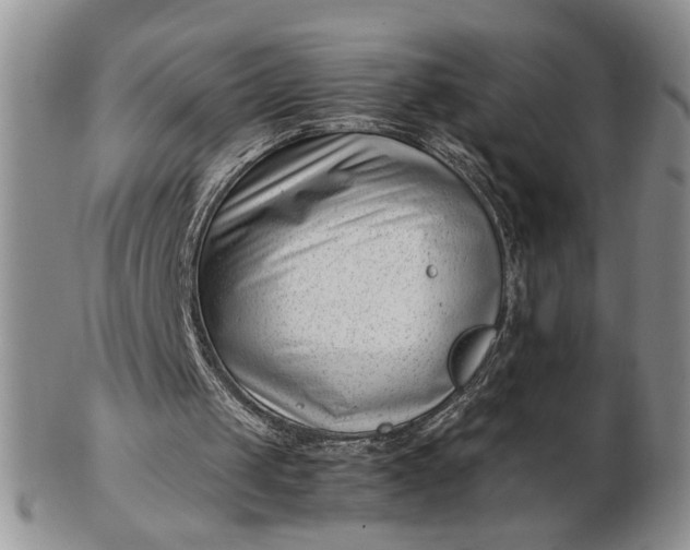 X0000102760049200809021016