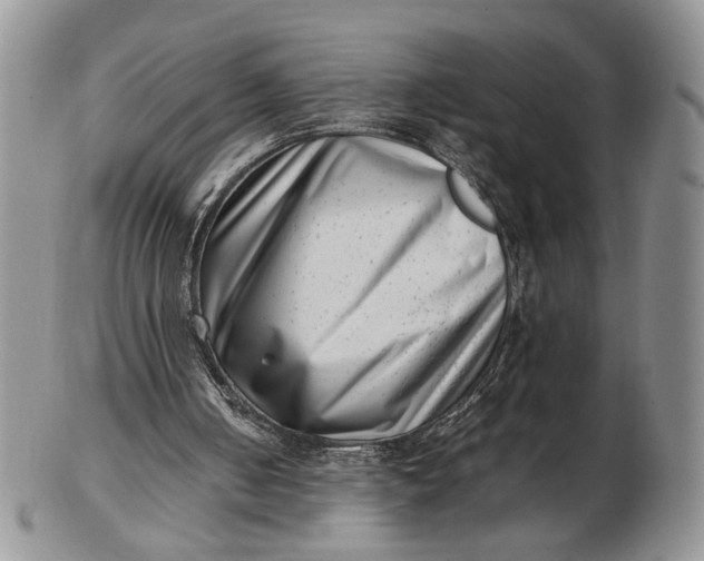 X0000102760050200809021016