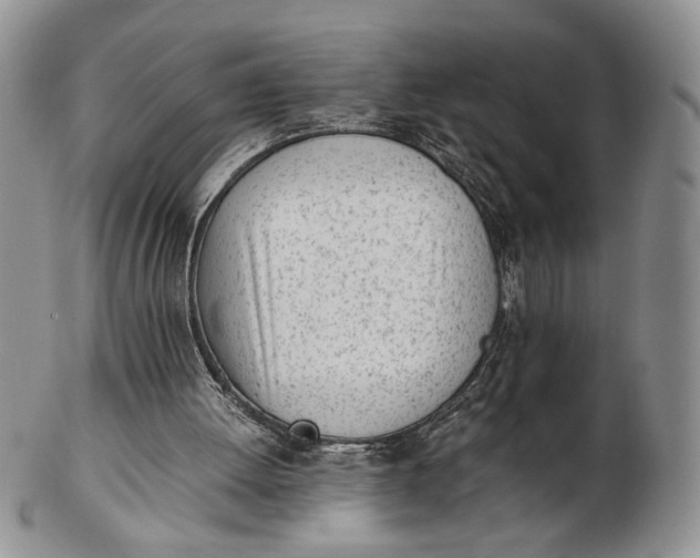 X0000102760052200809021016