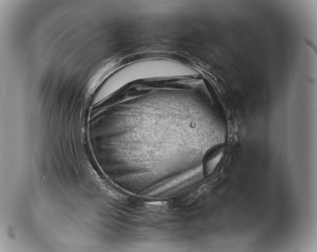 X0000102760053200809021016