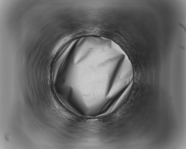 X0000102760054200809021016