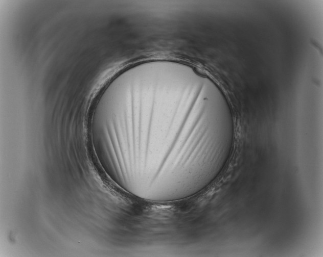 X0000102760055200809021016