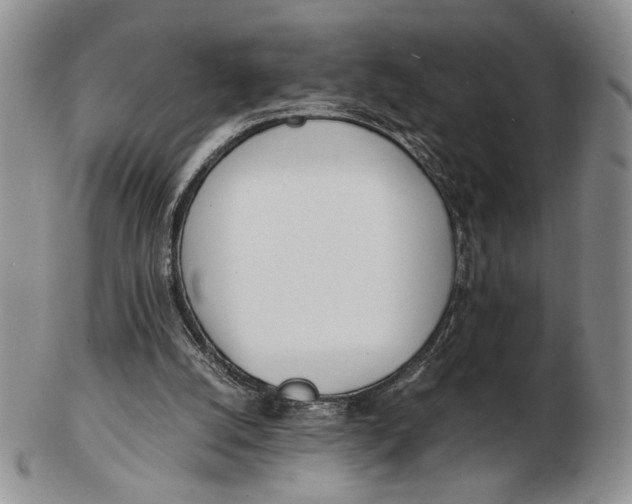 X0000102760056200809021016