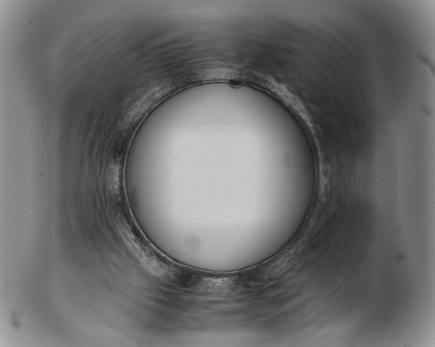 X0000102760057200809021016