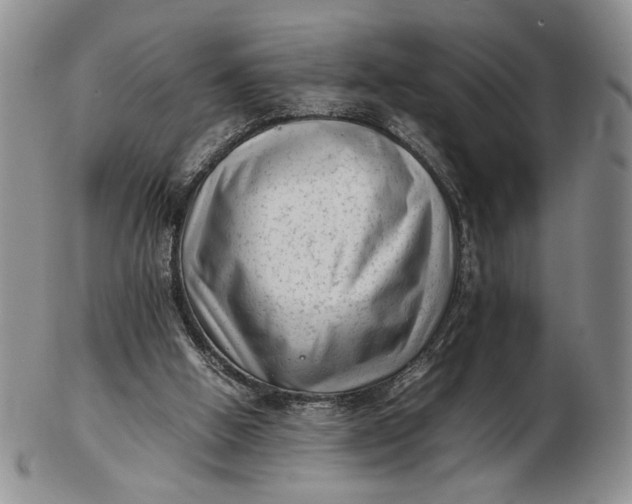 X0000102760058200809021016