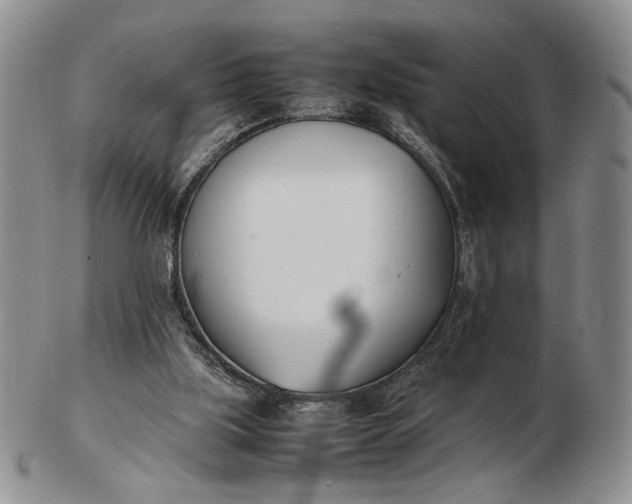 X0000102760059200809021016