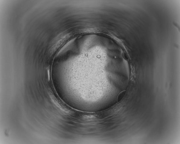 X0000102760061200809021016