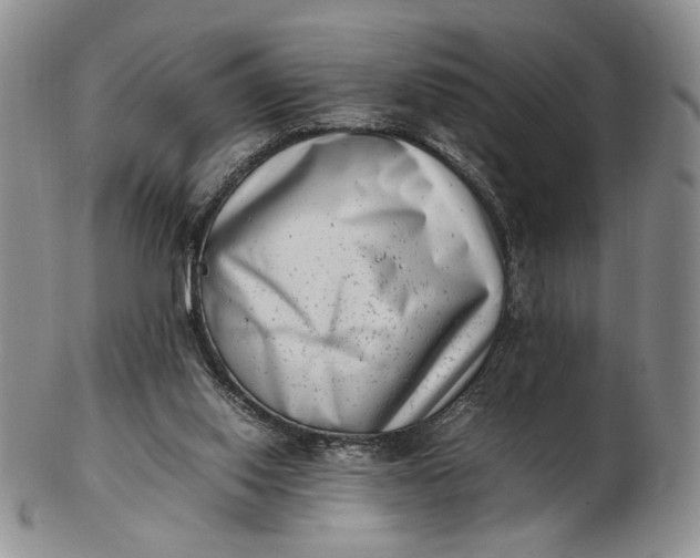 X0000102760062200809021016