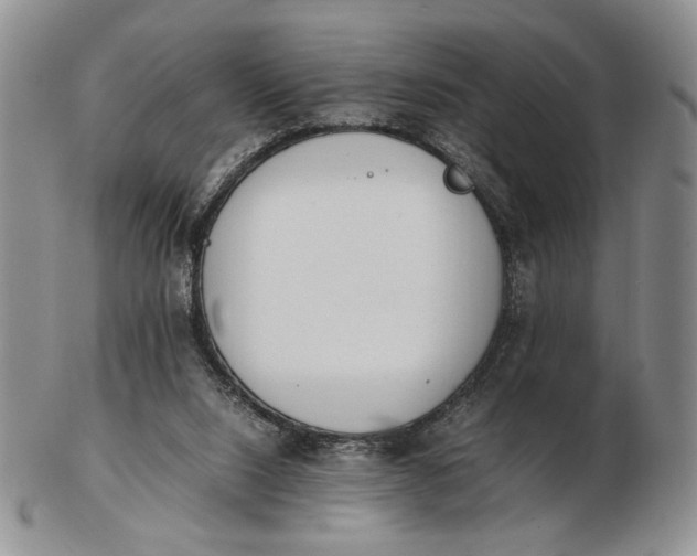 X0000102760064200809021016