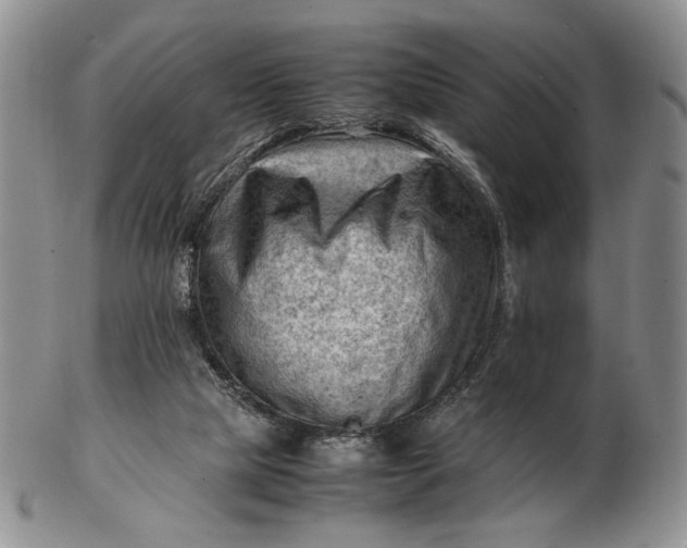 X0000102760065200809021016