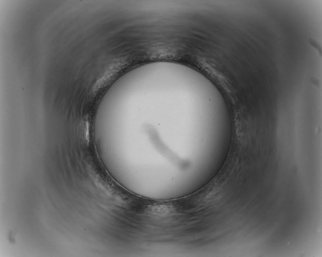 X0000102760067200809021016