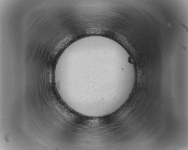 X0000102760068200809021016