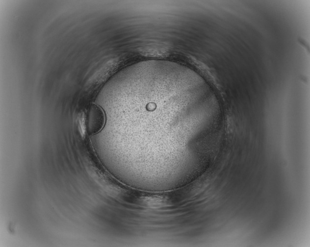 X0000102760069200809021016