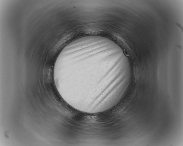 X0000102760071200809021016