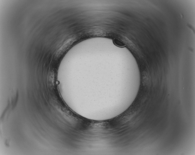 X0000102760072200809021016