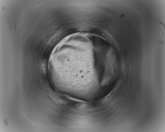 X0000102760074200809021016