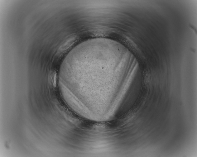 X0000102760076200809021016