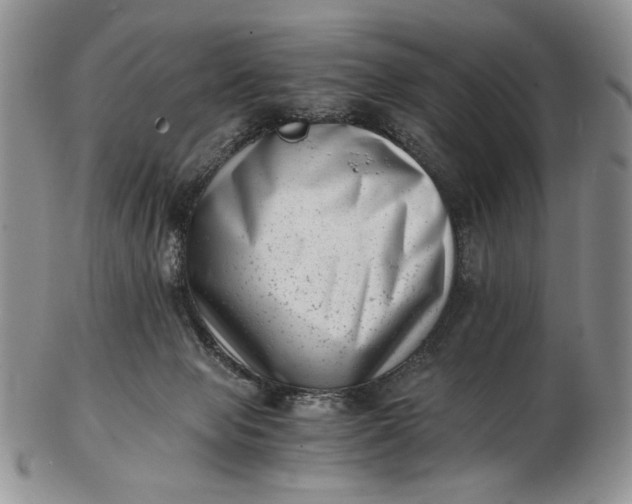 X0000102760077200809021016