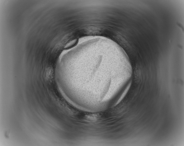 X0000102760079200809021016